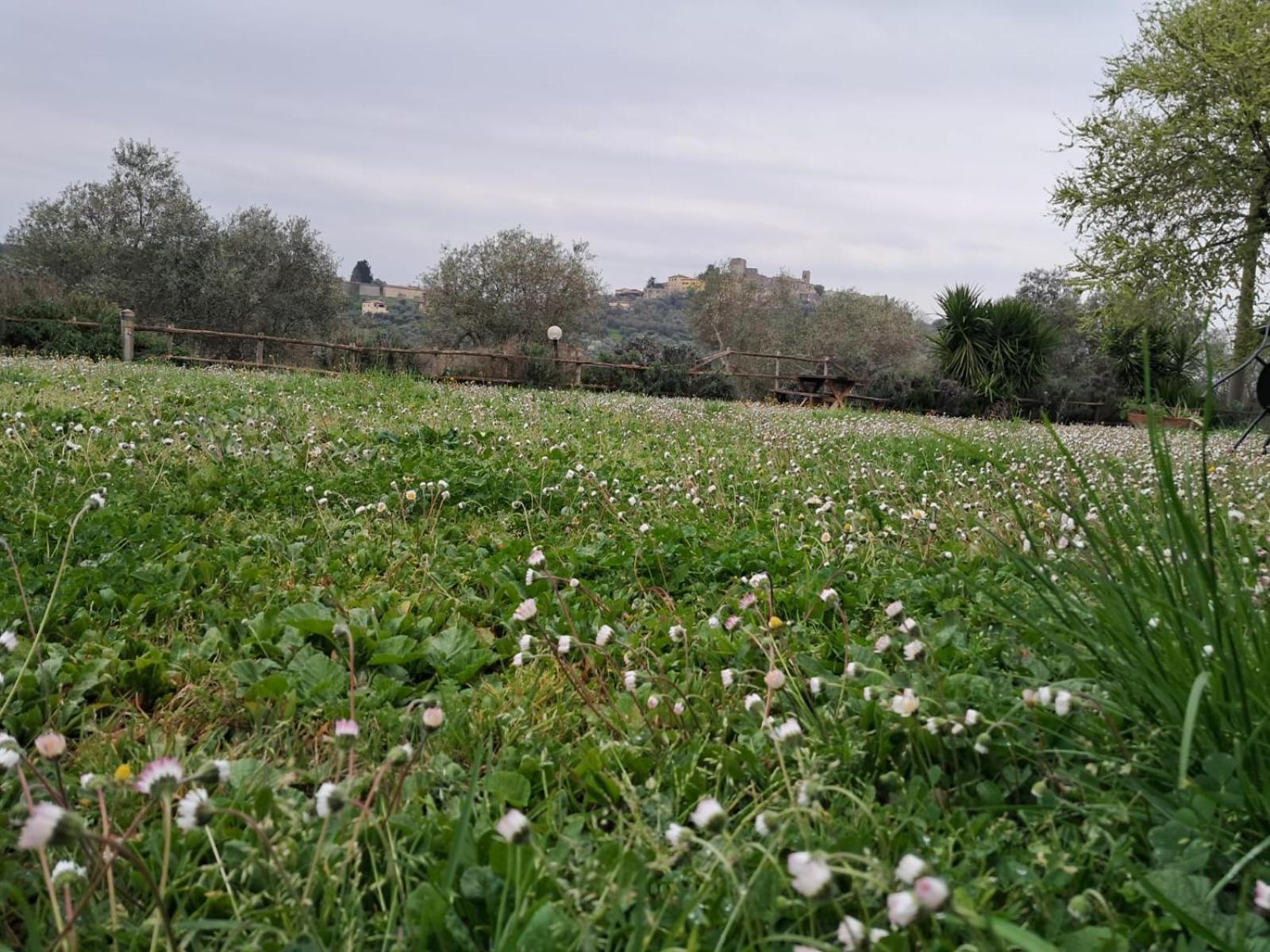 8380 Agriturismo Il Saragiolo Manciano Exterior foto
